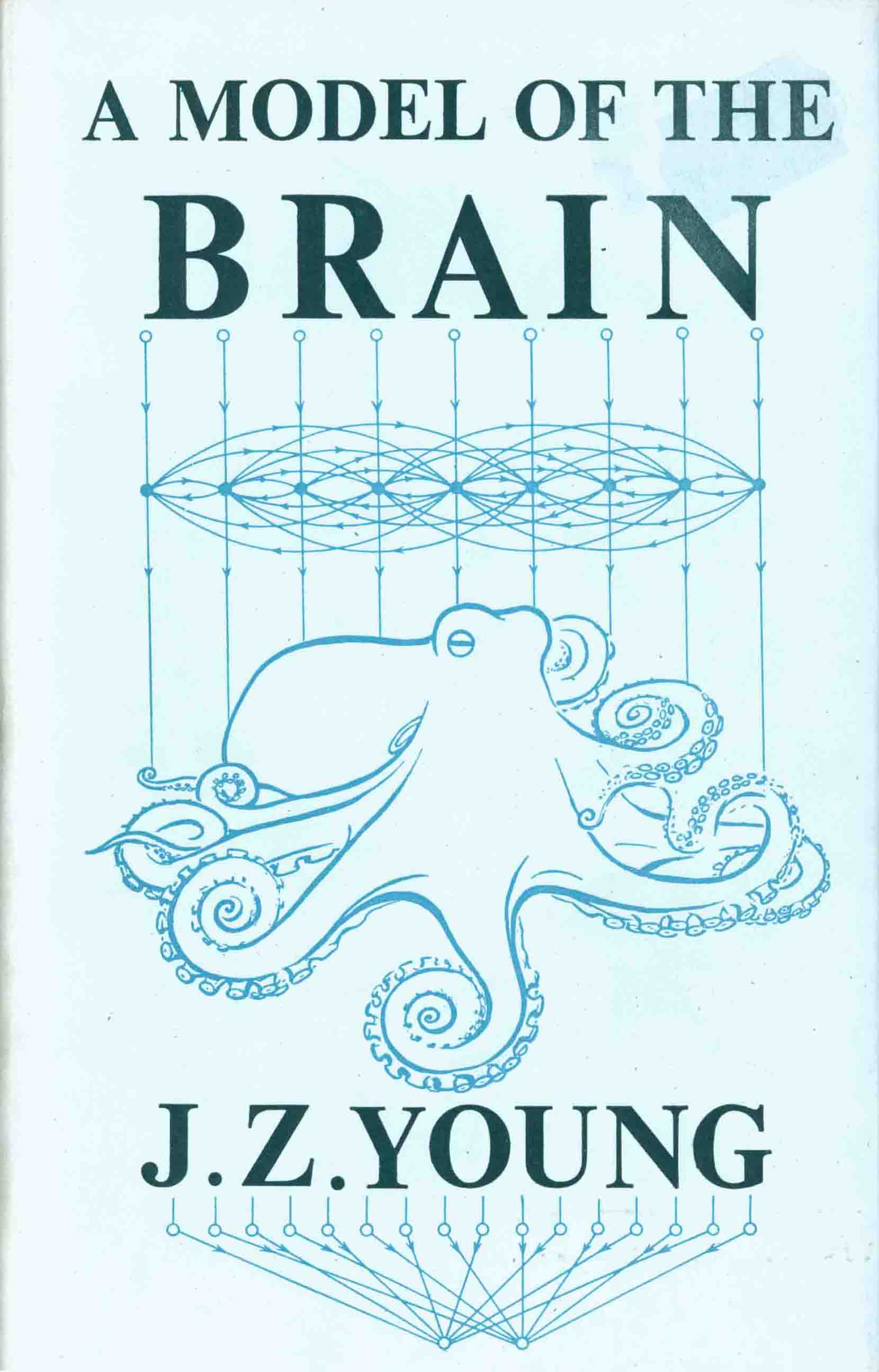 A MODEL OF THE BRAIN.