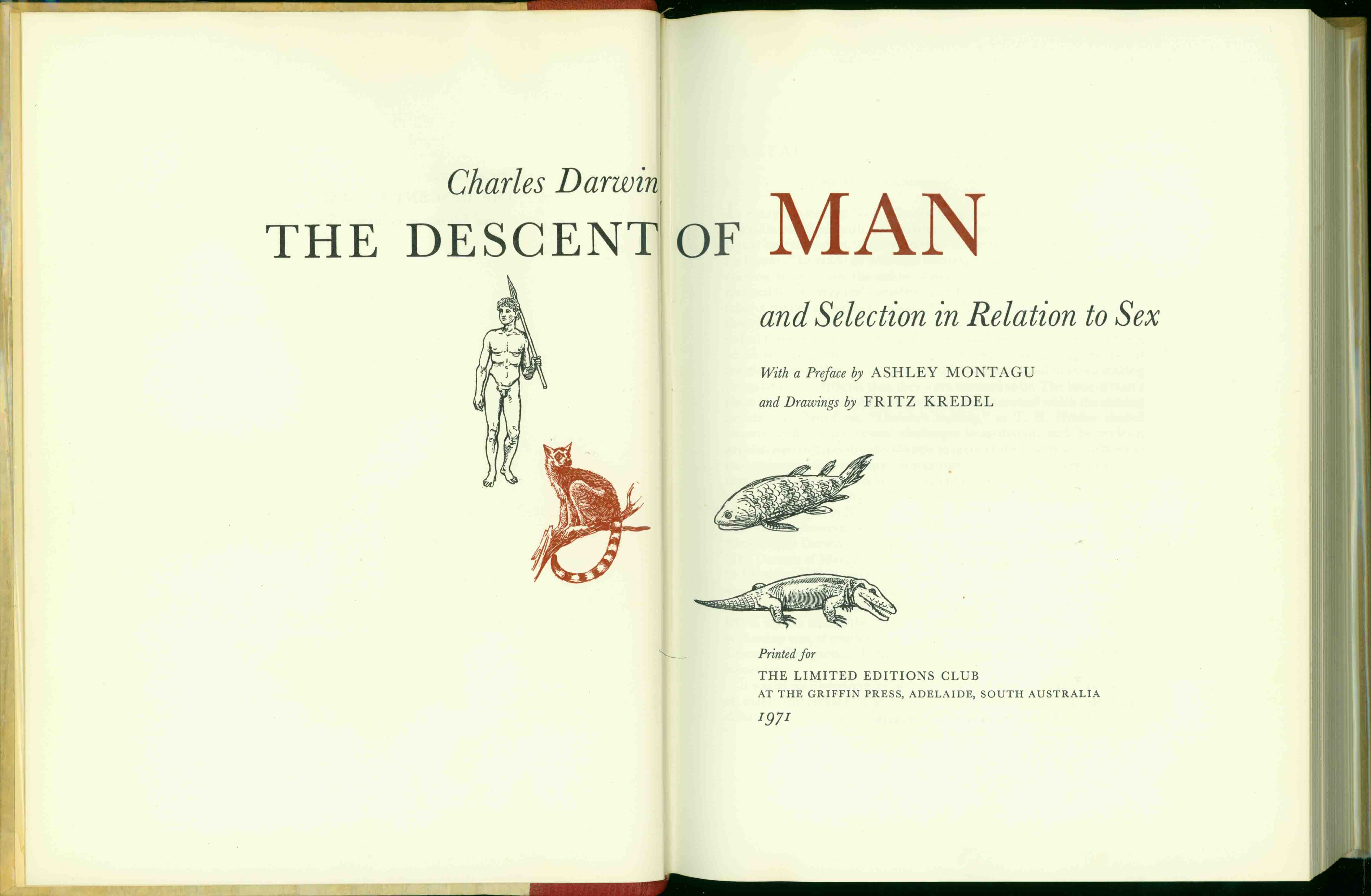 THE DESCENT OF MAN THE DESCENT OF MAN